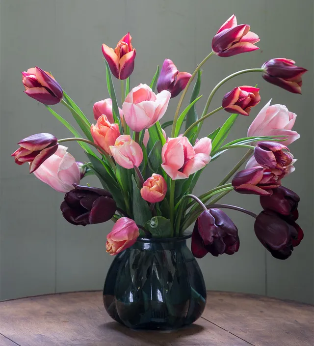 Sarah Raven Pewter Tulpenzwiebeln 20 Zwiebeln Mix