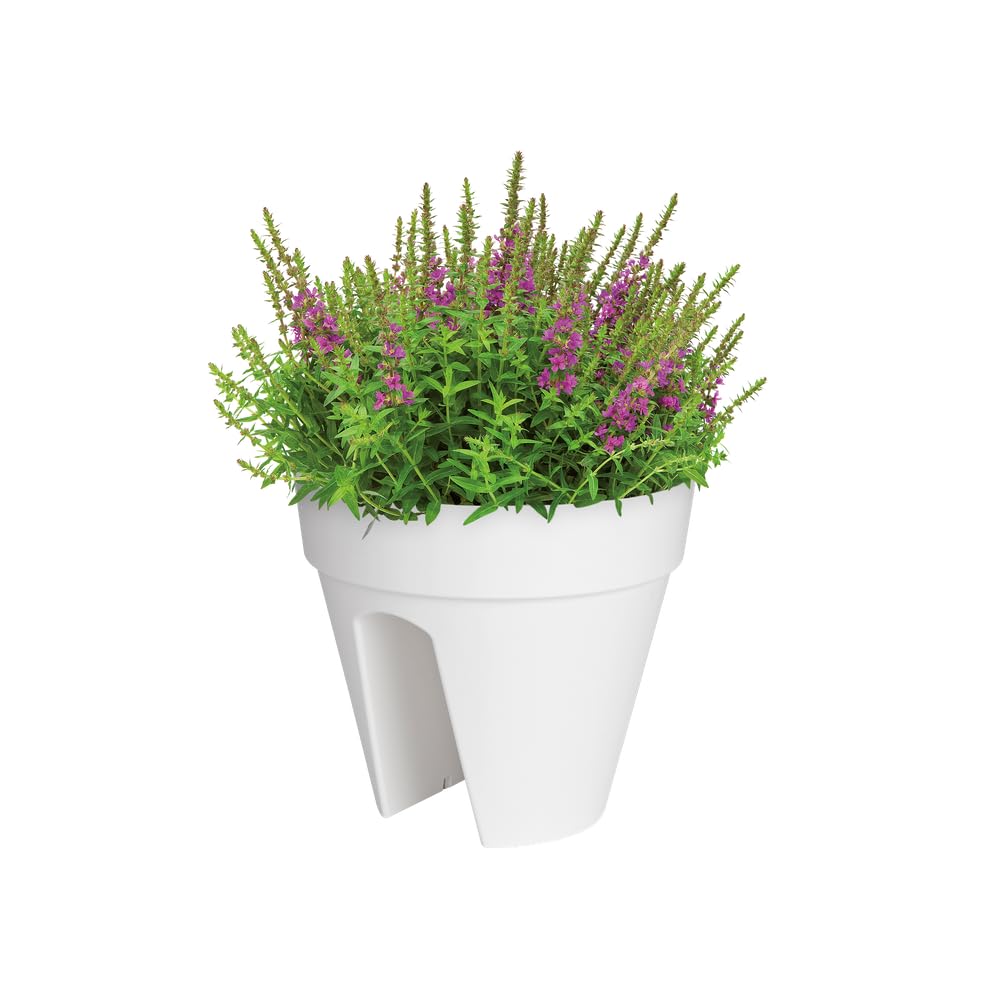 elho Loft Urban Flower Bridge 30 Balkonkasten Weiss mit Reservoir