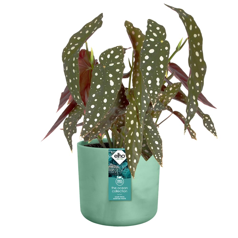 elho Ocean Collection Blumentopf 3er-Set Pazifikgrün recycelt