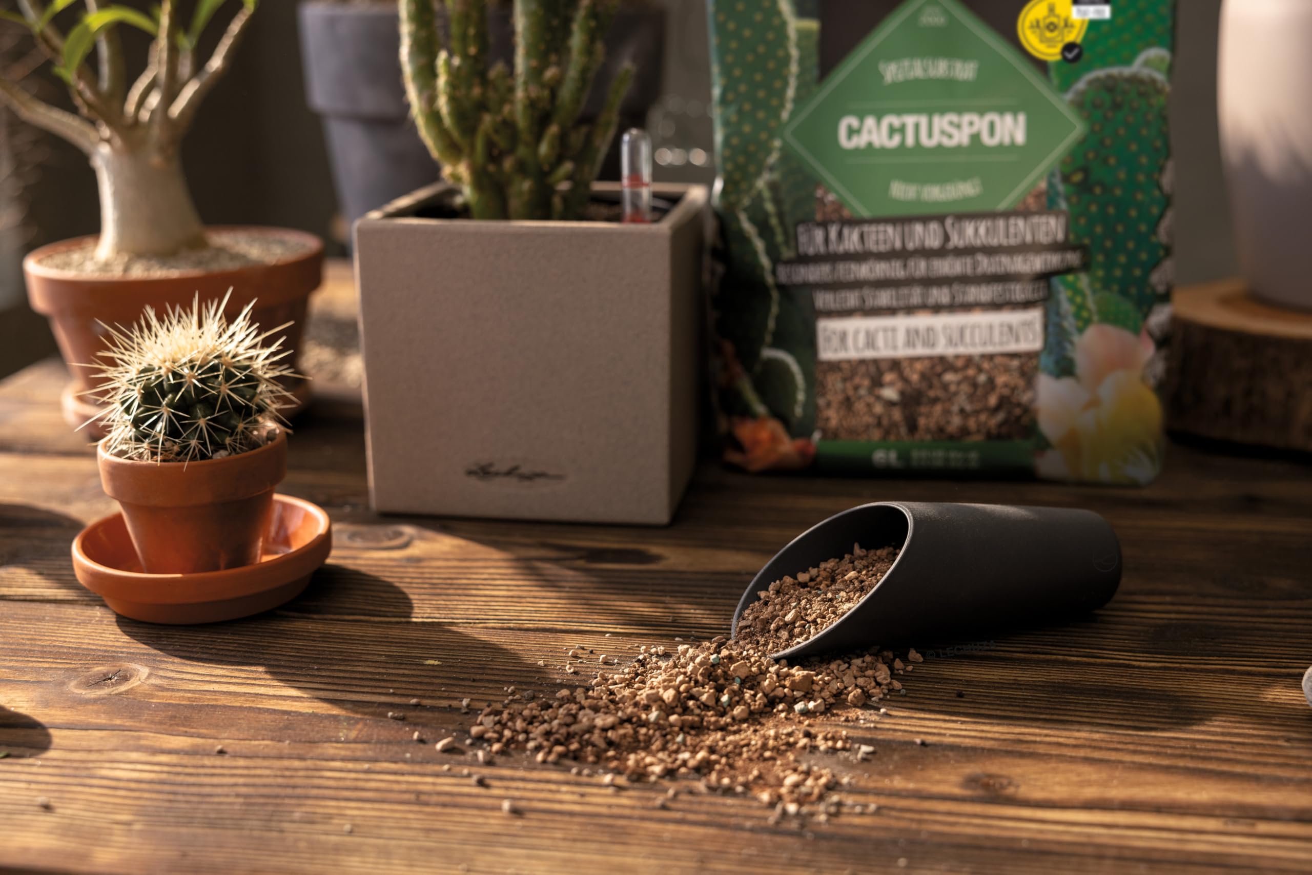 Lechuza Cactuspon Pflanzsubstrat 6 Liter Kakteen
