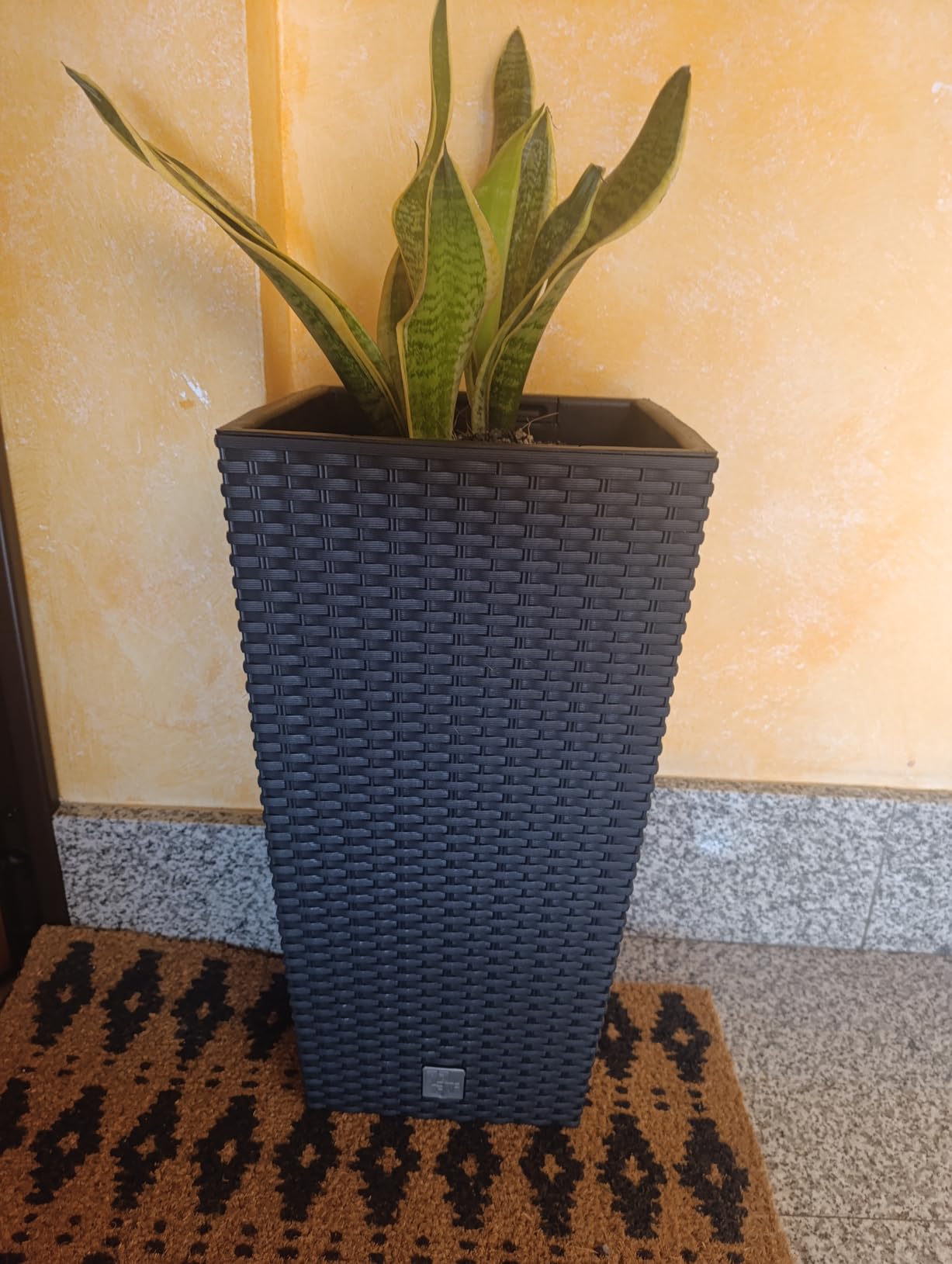 Prosperplast Rato Square Blumentopf Weiß Rattan 26,5x50cm