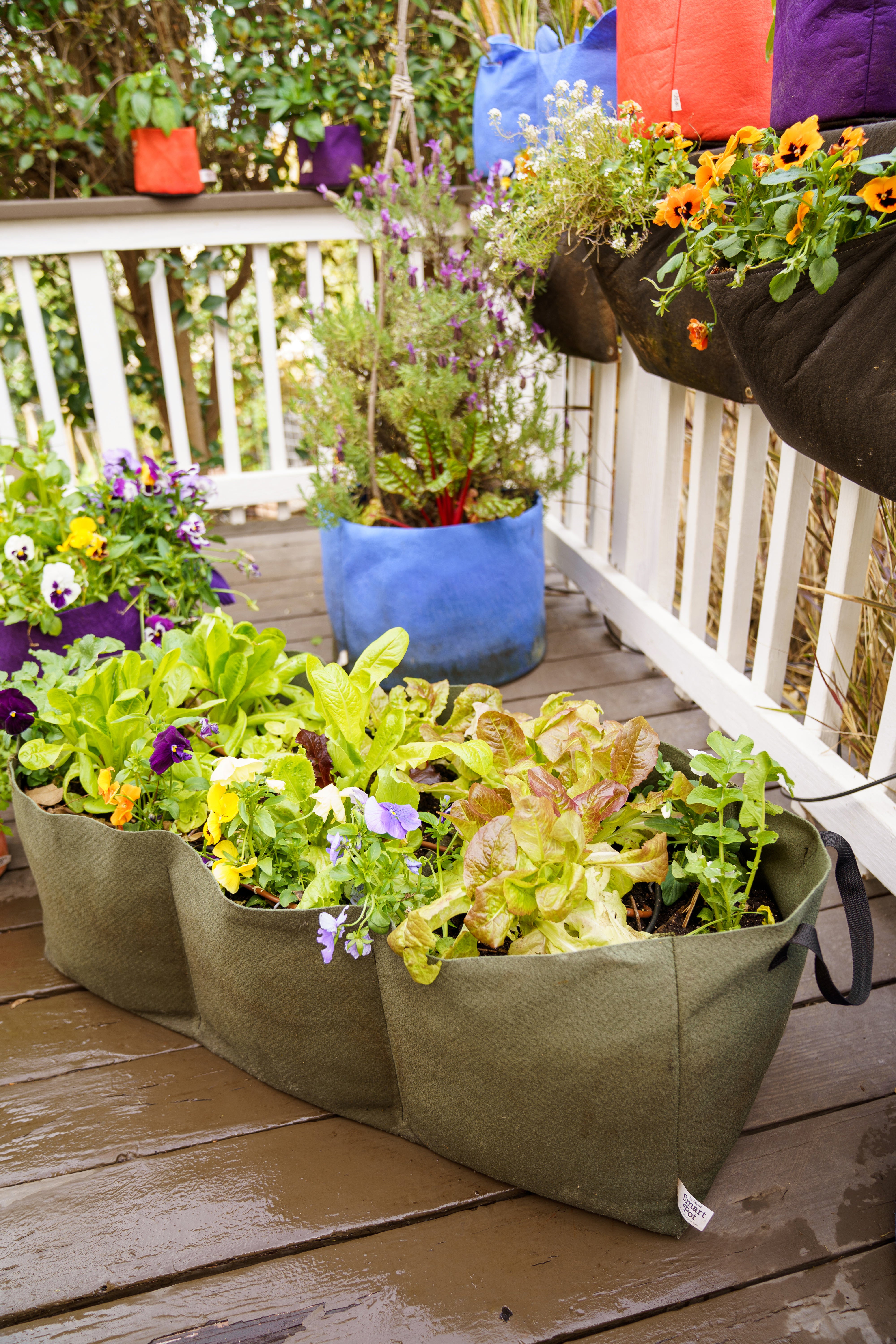 Smart Pot Raised Beds Pflanzsack Lil Shorty Hochbeet