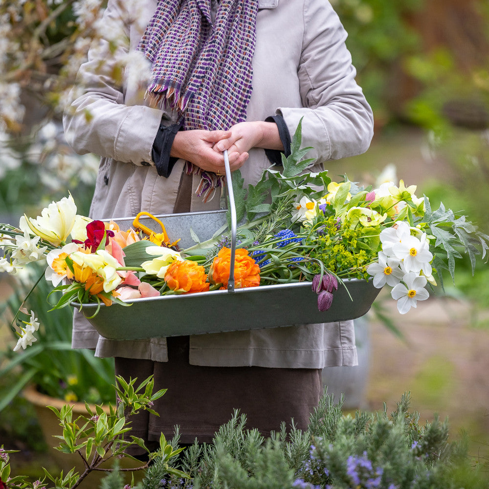 Sarah Raven Gardening Zinc Erntekörb 63 cm Zink
