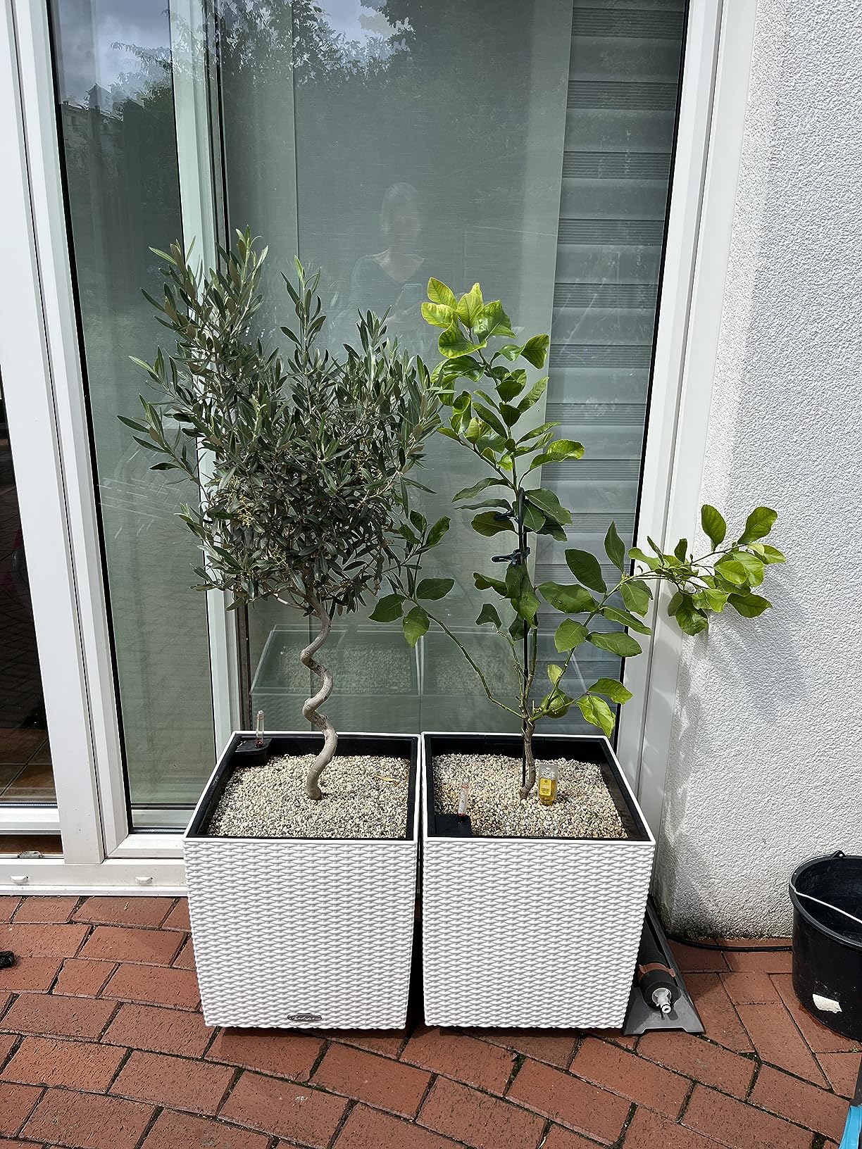 Lechuza Cube Cottage 50 Pflanzgefäß Granit Flechtoptik
