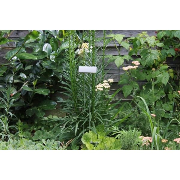 GardenMate Pflanzschilder Poster XL Metall Pflanzstecker 55 cm 25er Set