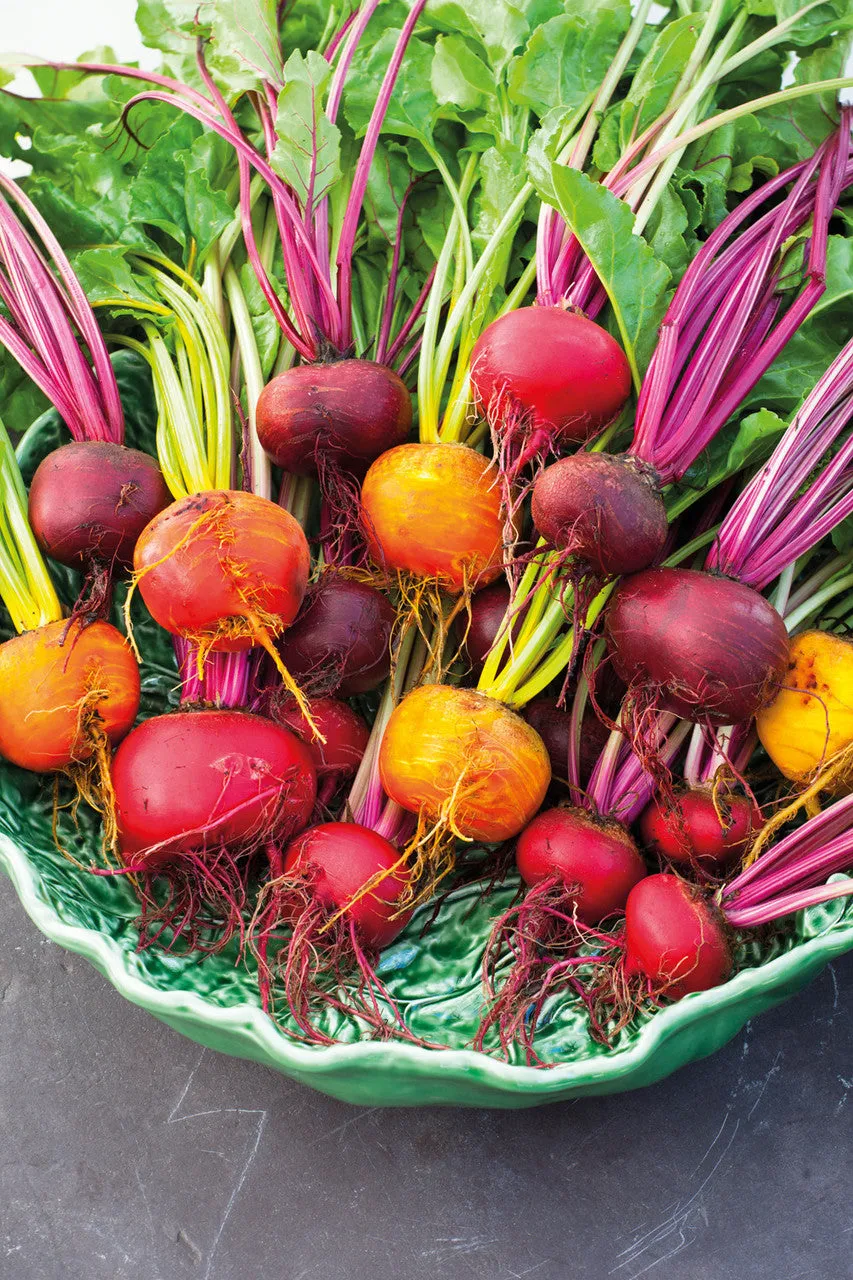Sarah Raven Seeds Rote Bete Samen Kollektion 3 Packungen