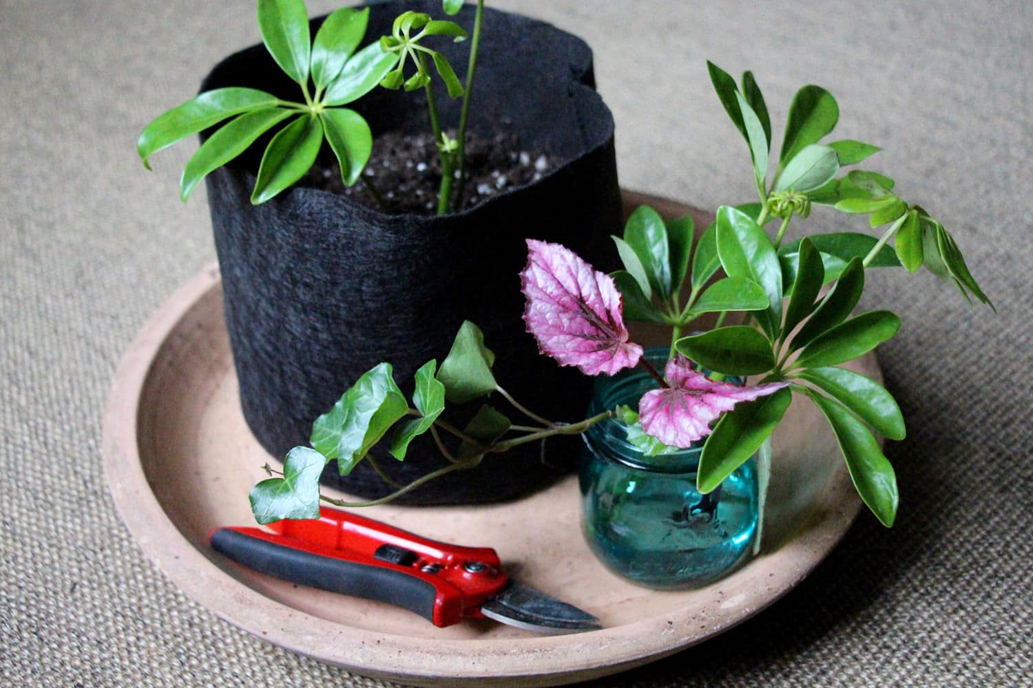 Smart Pot Fabric Planters Stofftopf atmungsaktiv