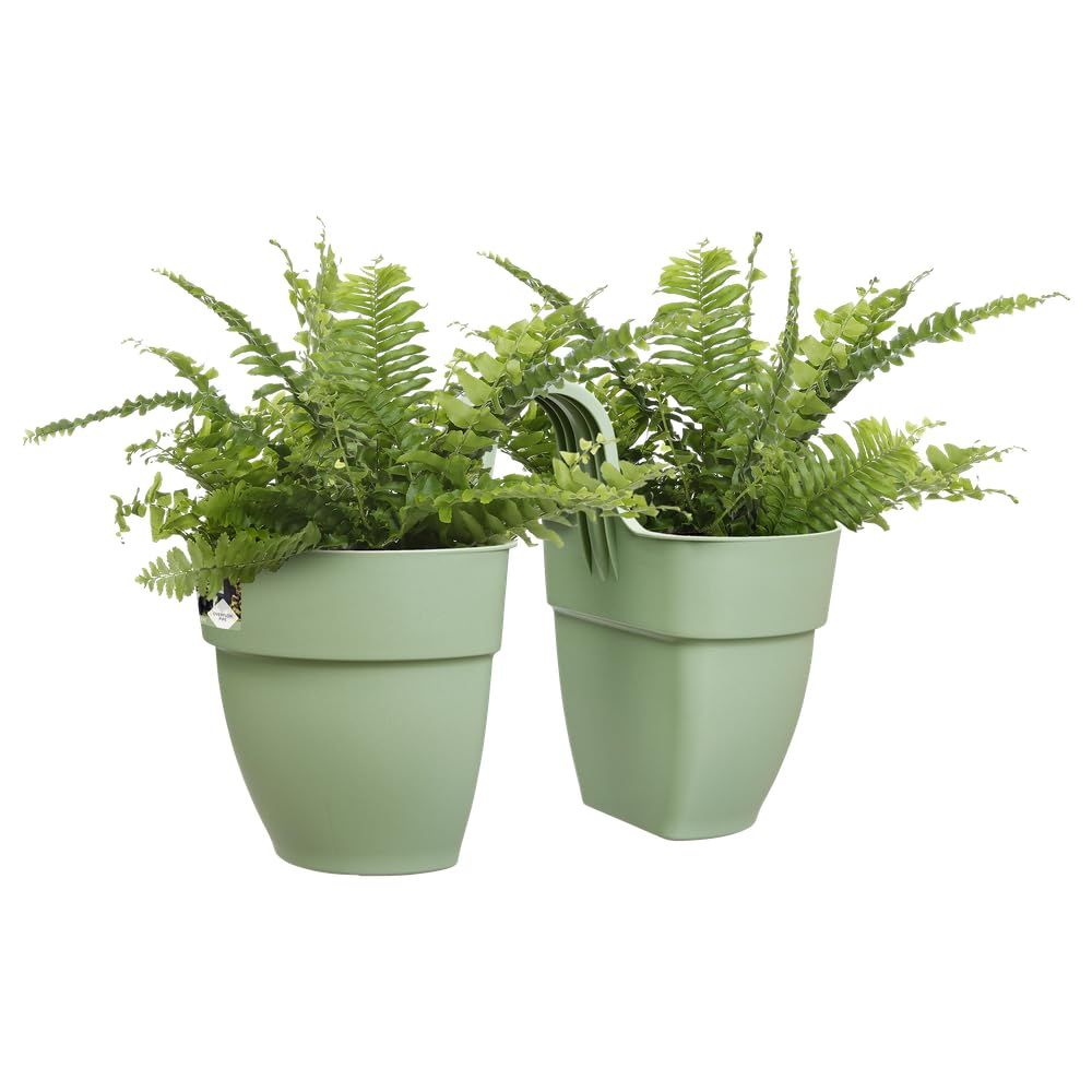 elho Vibia Campana Flower Twin Blumentopf 21cm Pistazien Grün