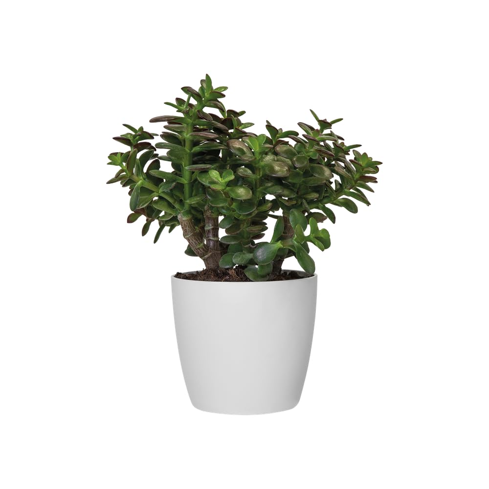 elho Brussels Rund 14 Blumentopf braun Cookie 13,5 cm recycelt