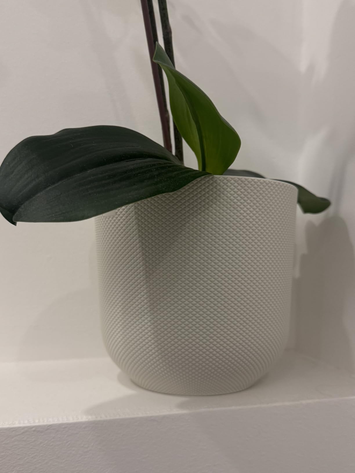 elho Jazz rund 26 Blumentopf Lavendel Lila recycelt