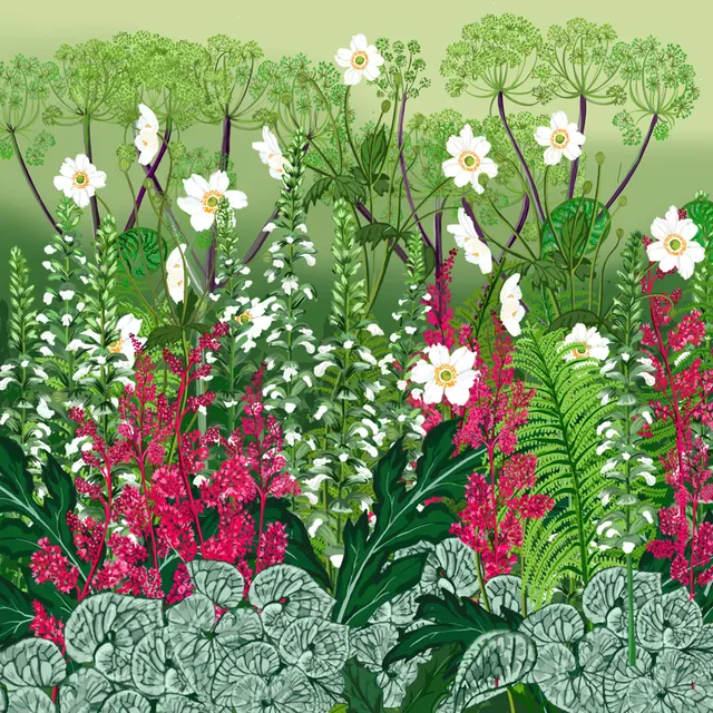 Sarah Raven Plants Damp Border Collection Stauden 18x9cm Schatten
