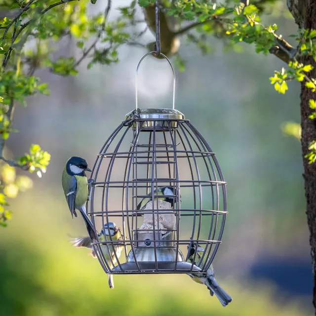 Sarah Raven Gardening Squirrel Proof Fat Ball Feeder Alu 29cm