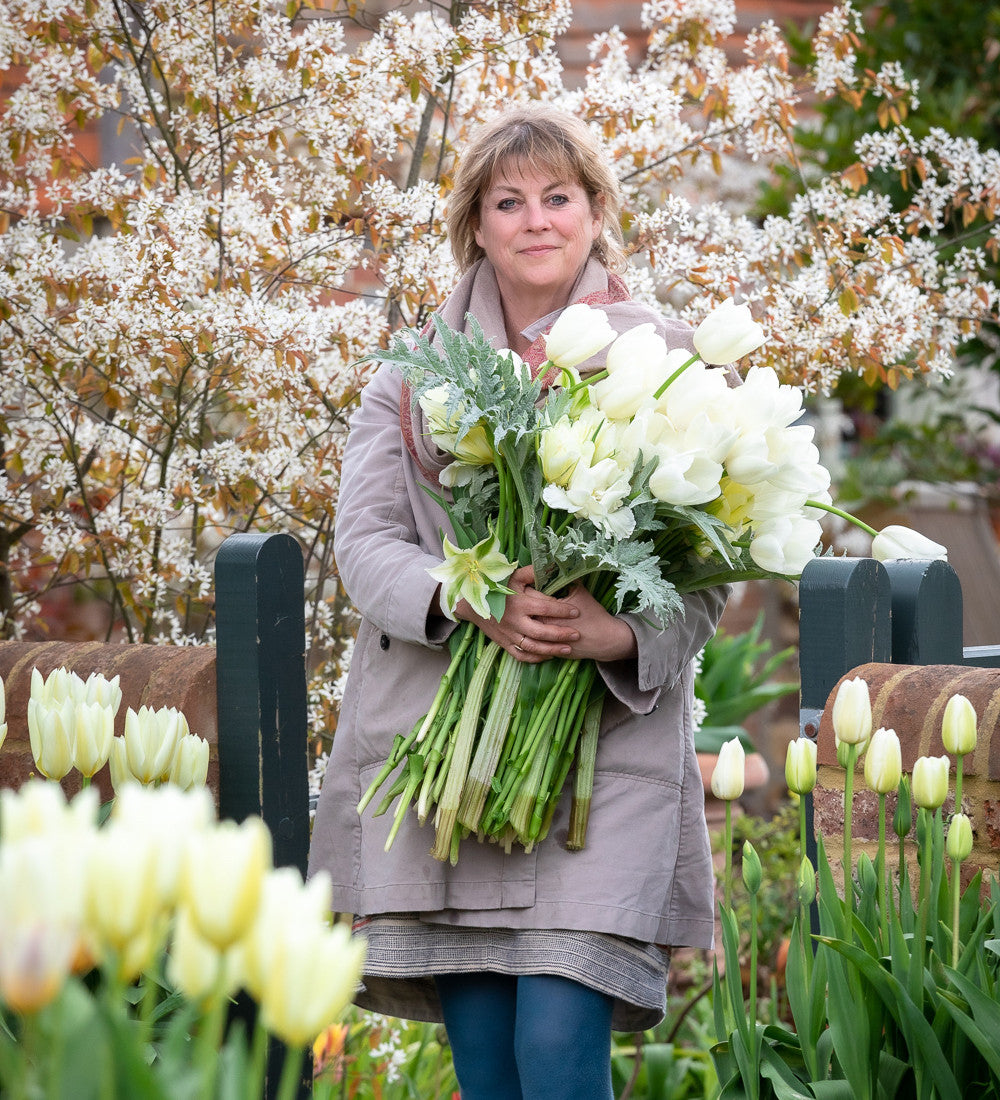 Sarah Raven Bulbs Tulip Green Spirit Blumenzwiebeln 10 Stück grün