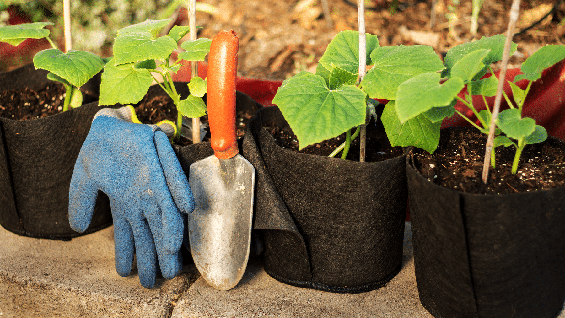 Smart Pot Transplanter Stofftopf Pflanztopf mit Luftschnitt