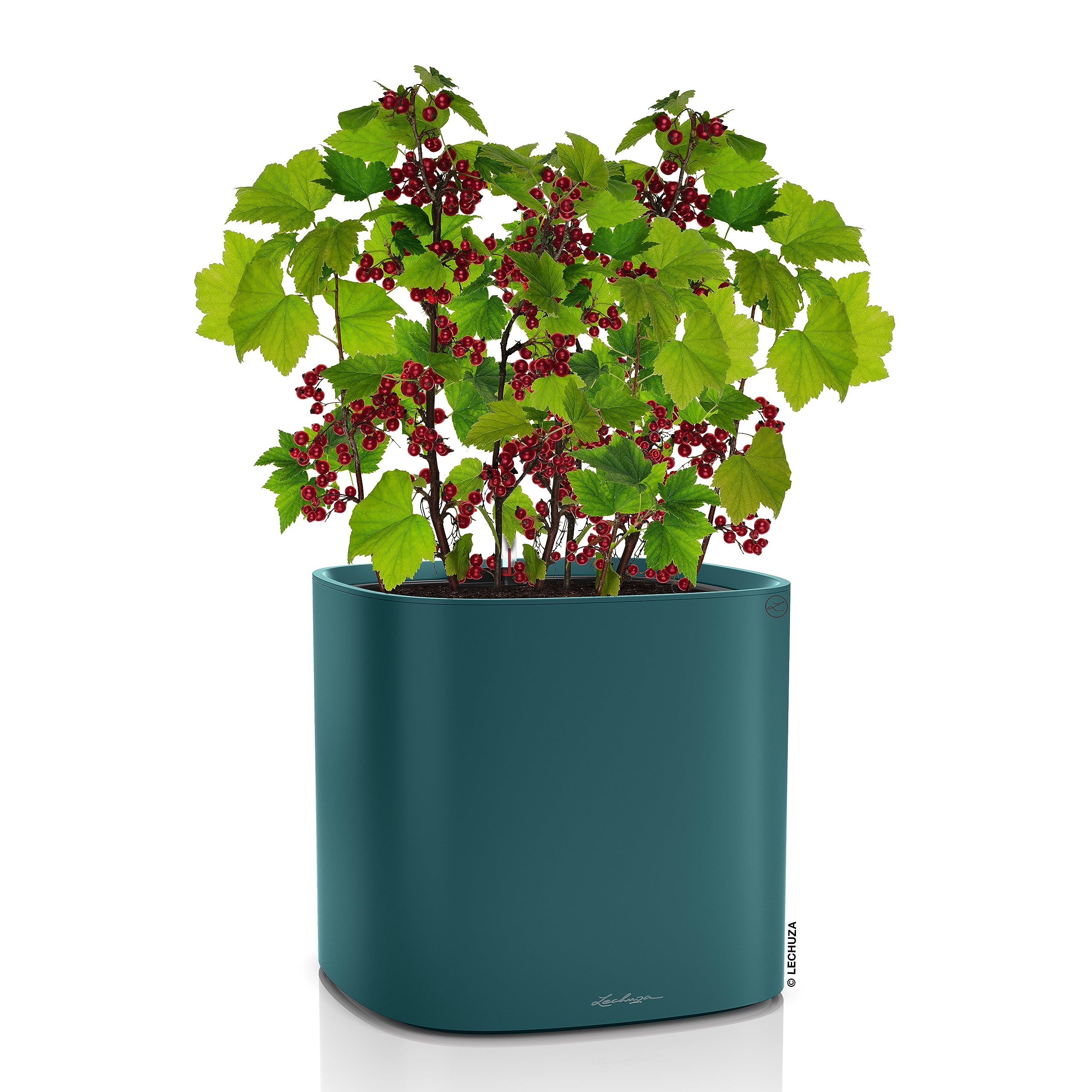 LECHUZA PILA Planter 35cm Petrolblau Bewässerung 14,5L