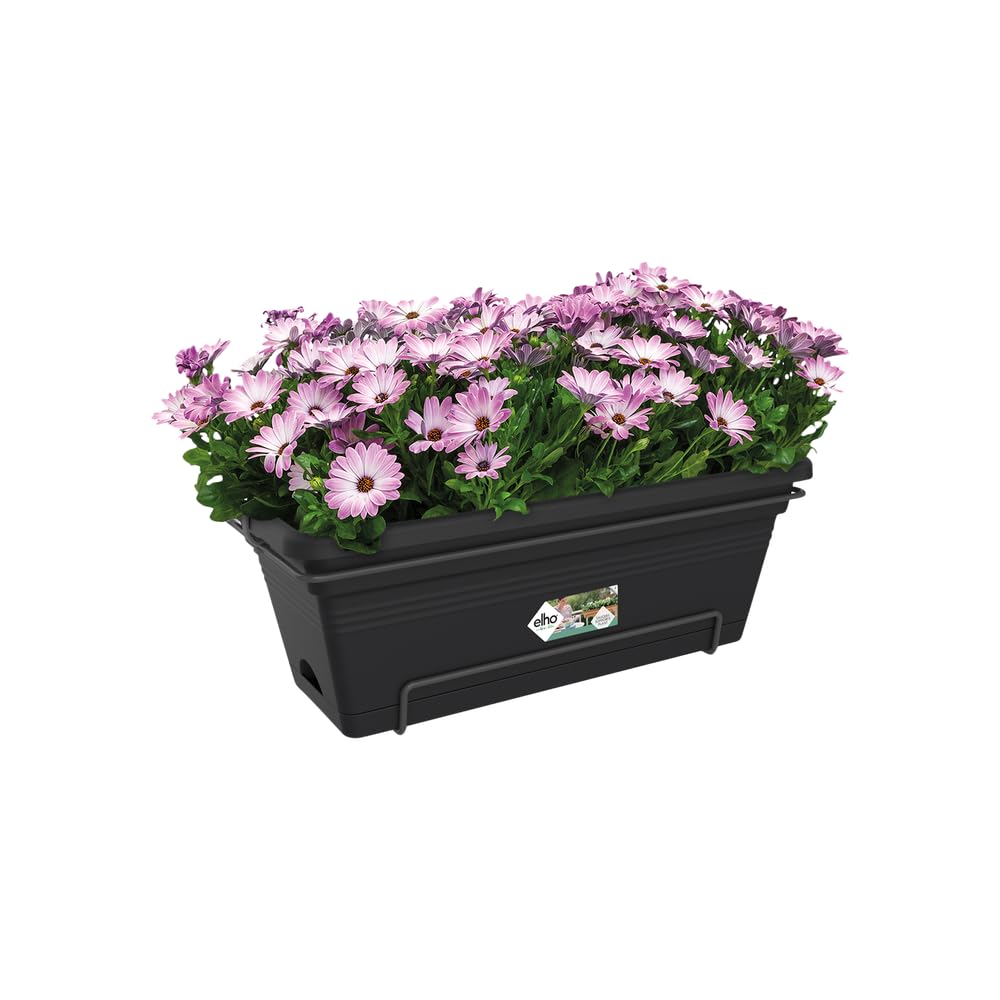 elho Green Basics Balkonkasten XL 55cm Schwarz Untersetzer