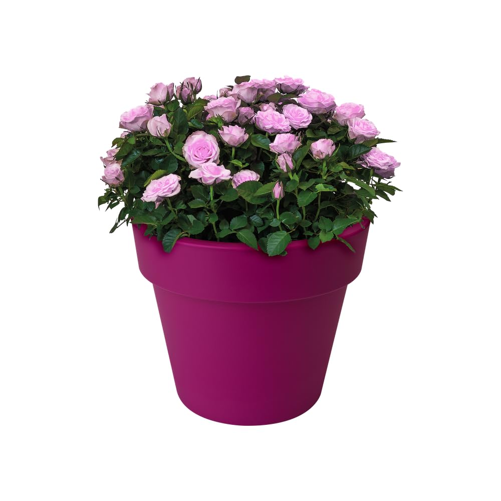 Elho Green Basics Top Planter 23 Blumentopf Kirsche 23 cm
