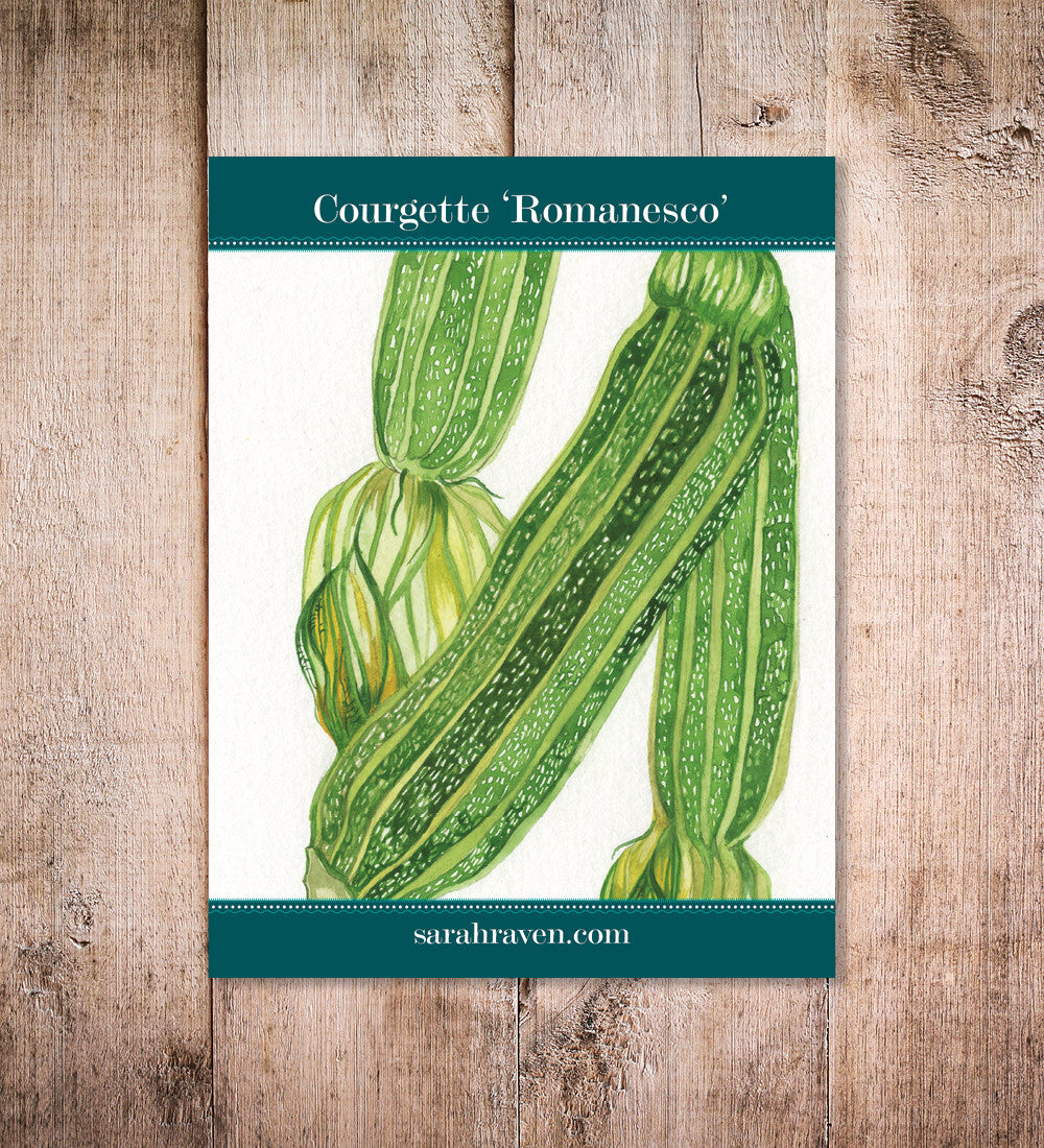 Sarah Raven Courgette Romanesco Samen 20 Stück gerippt