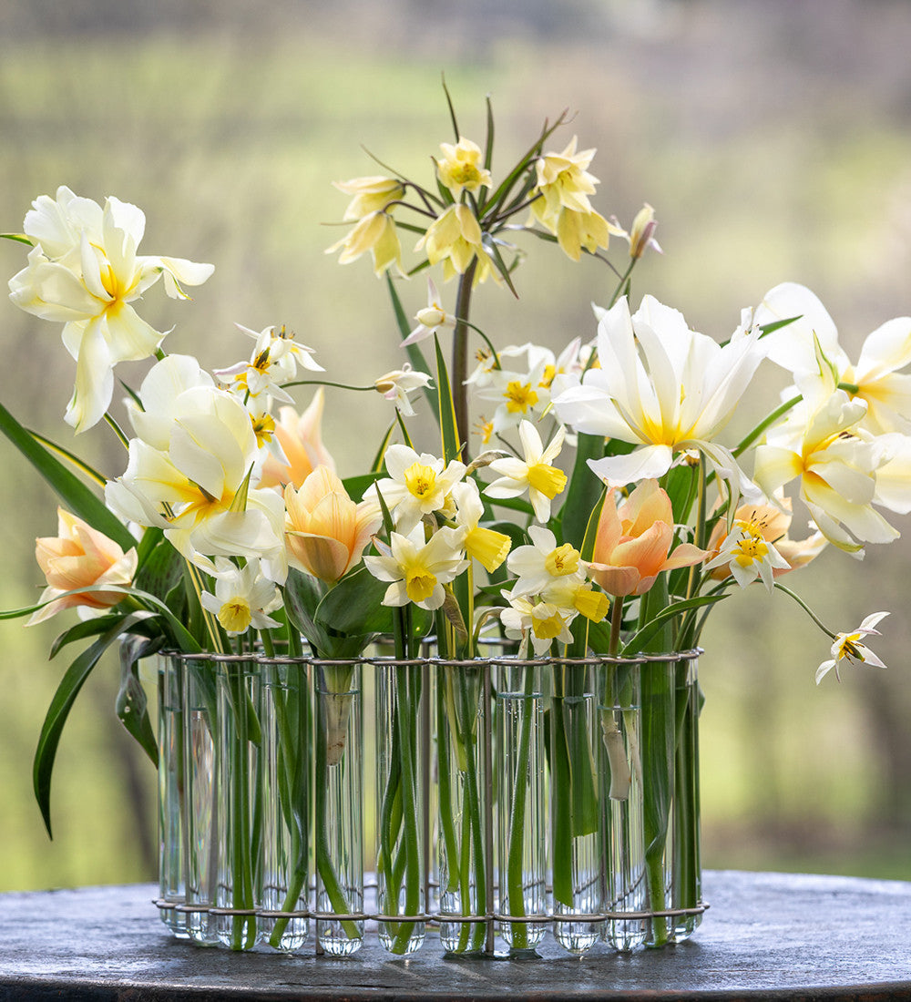 Sarah Raven Bulbs Soft and Graceful Drift Mix Blumenzwiebeln 80 Stück weiß