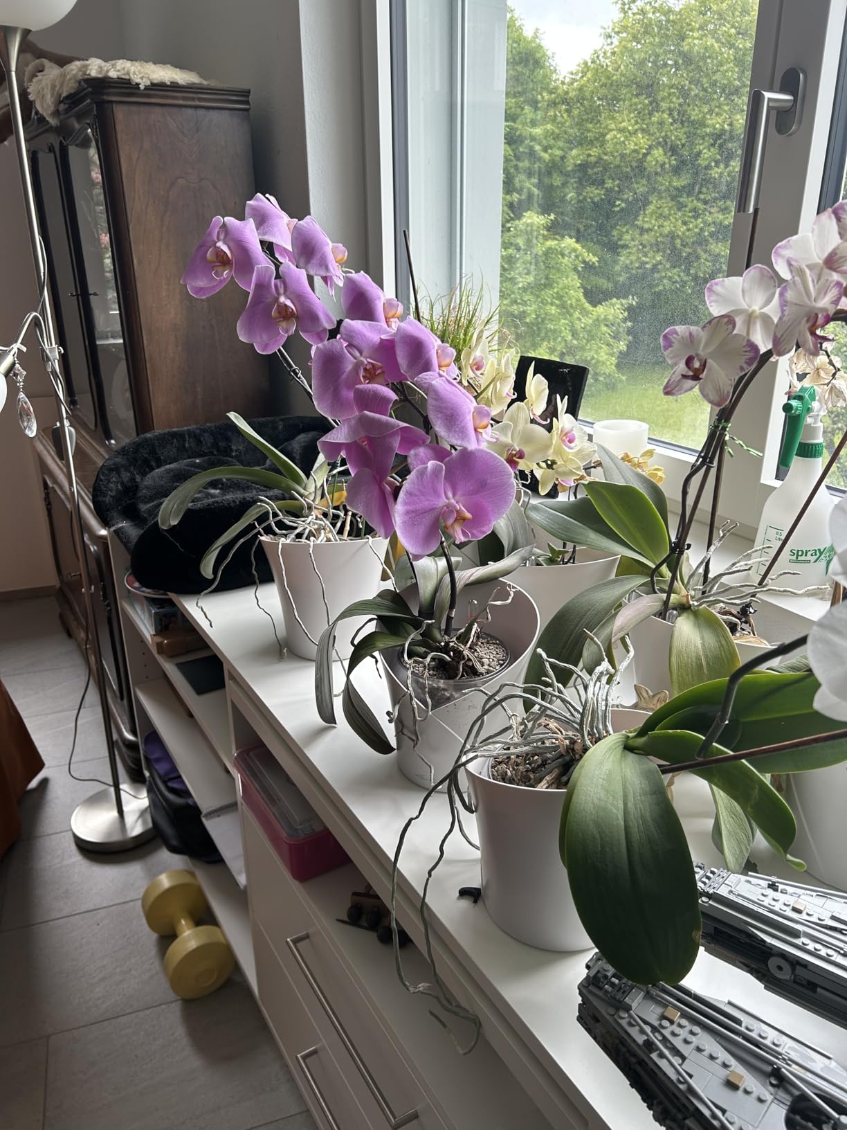 Lechuza Orchidea Color Orchideentopf Weiß Ø18cm Dochtsystem
