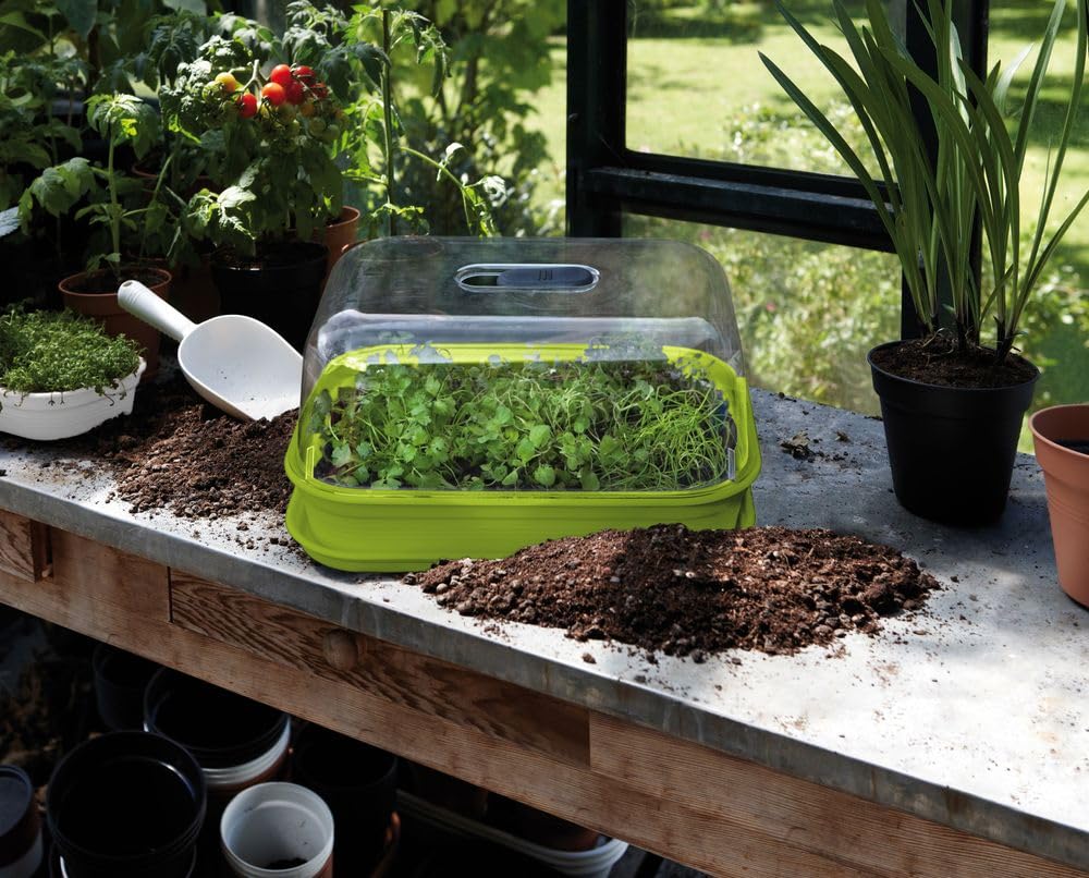 elho Green Basics Anzucht Schale M Pflanzschale Lime Grün