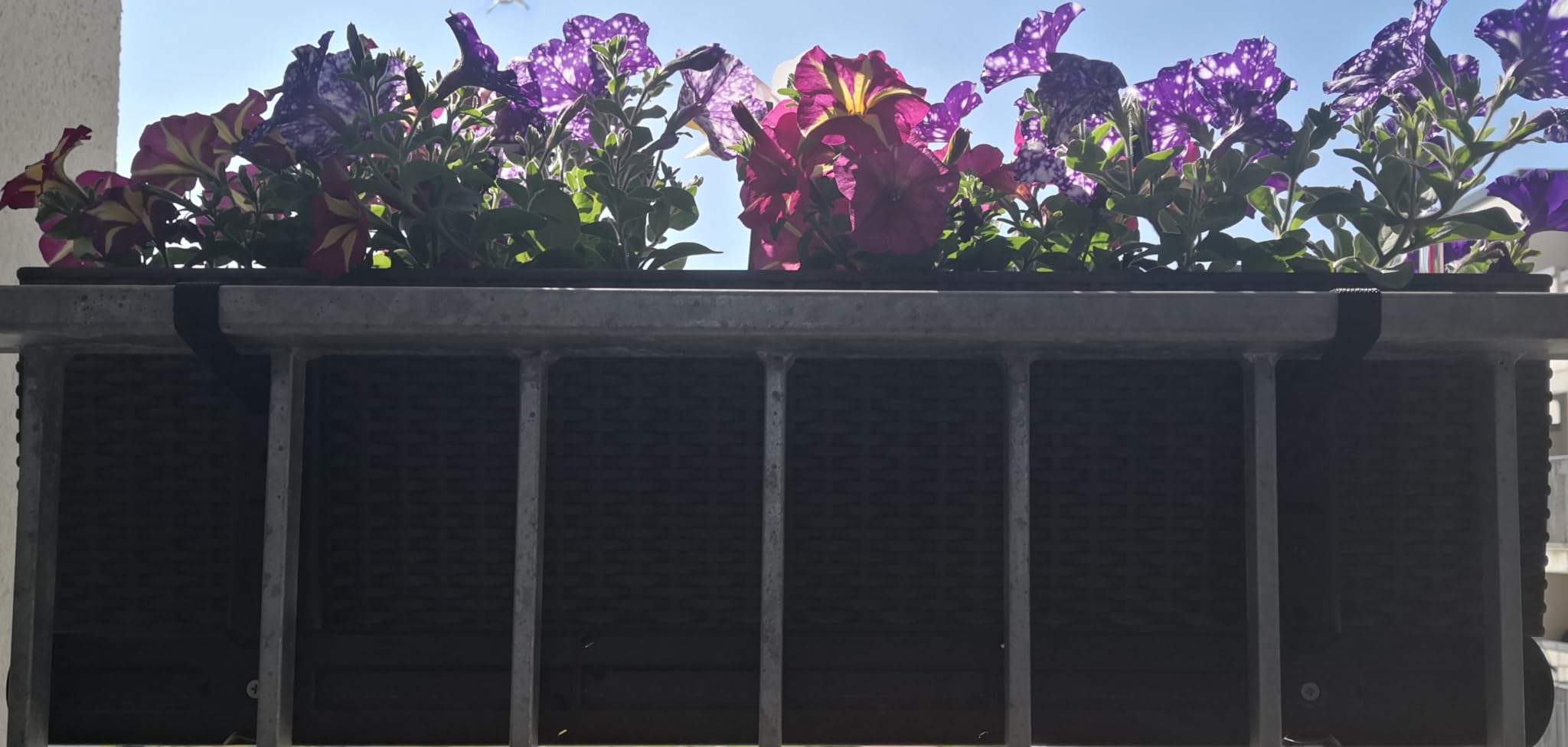 Lechuza Balconera Abstützung Balkonkastenhalter Schwarz