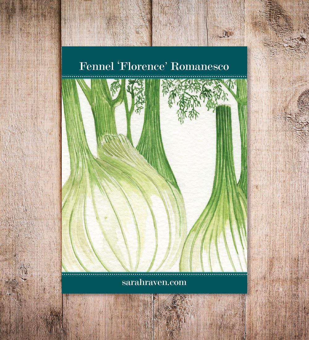 Sarah Raven Fenchel Romanesco Samen 150 Stück Gemüse