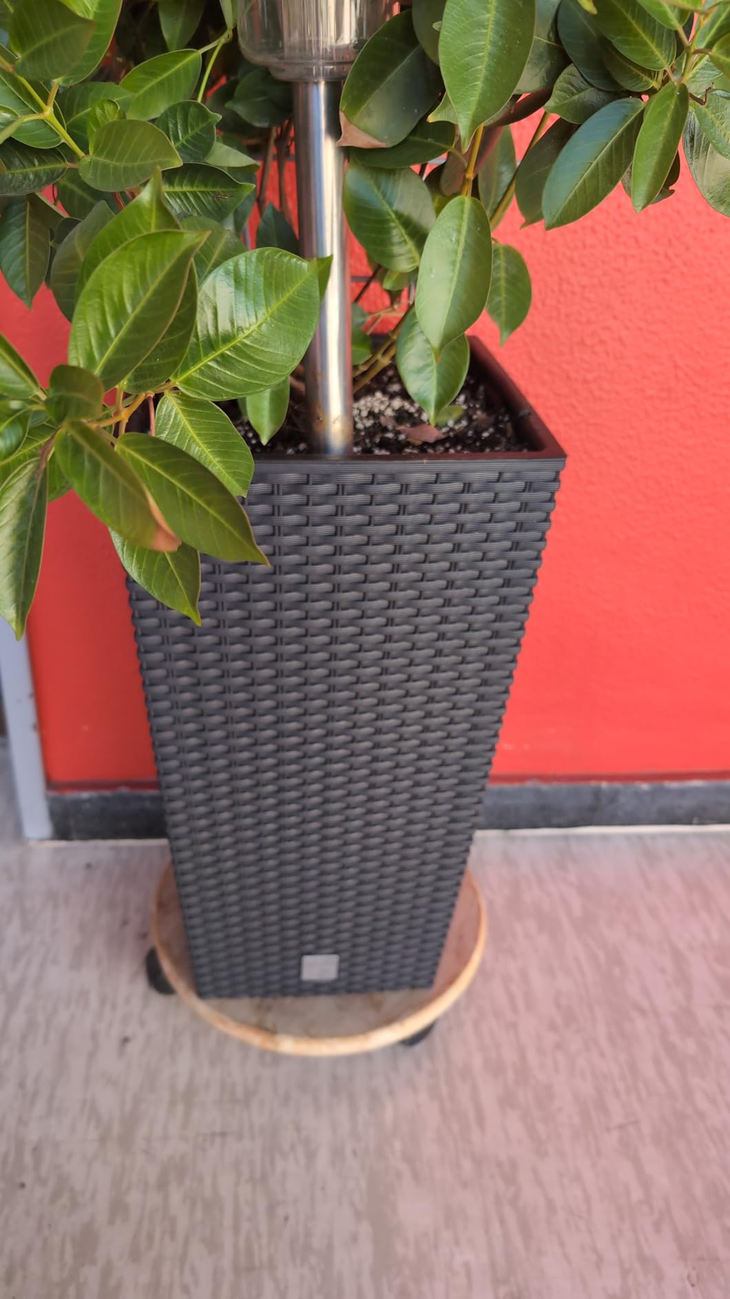 Prosperplast Rato Square Blumentopf Weiß Rattan 26,5x50cm