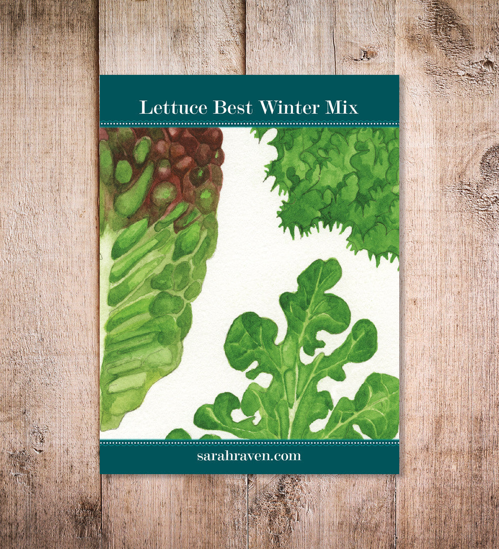 Sarah Raven Seeds Lettuce Best Winter Mix Salatsamen 300 Samen