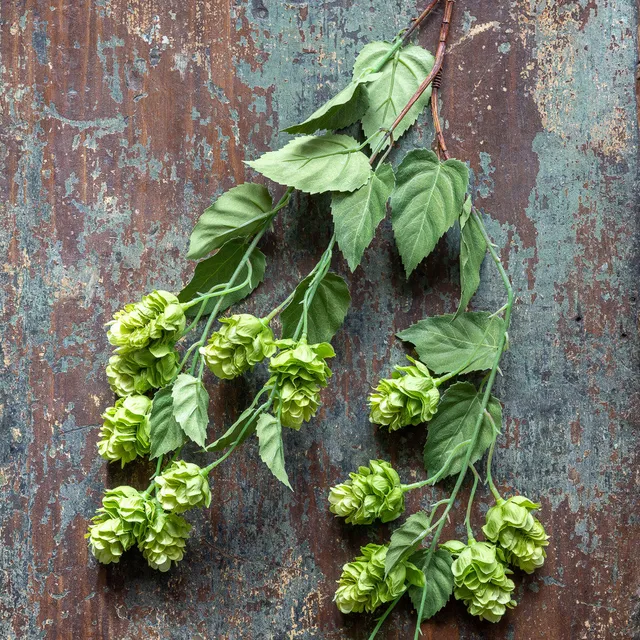Sarah Raven Hop Sprays Kunstblumen 3er Set 99cm grün