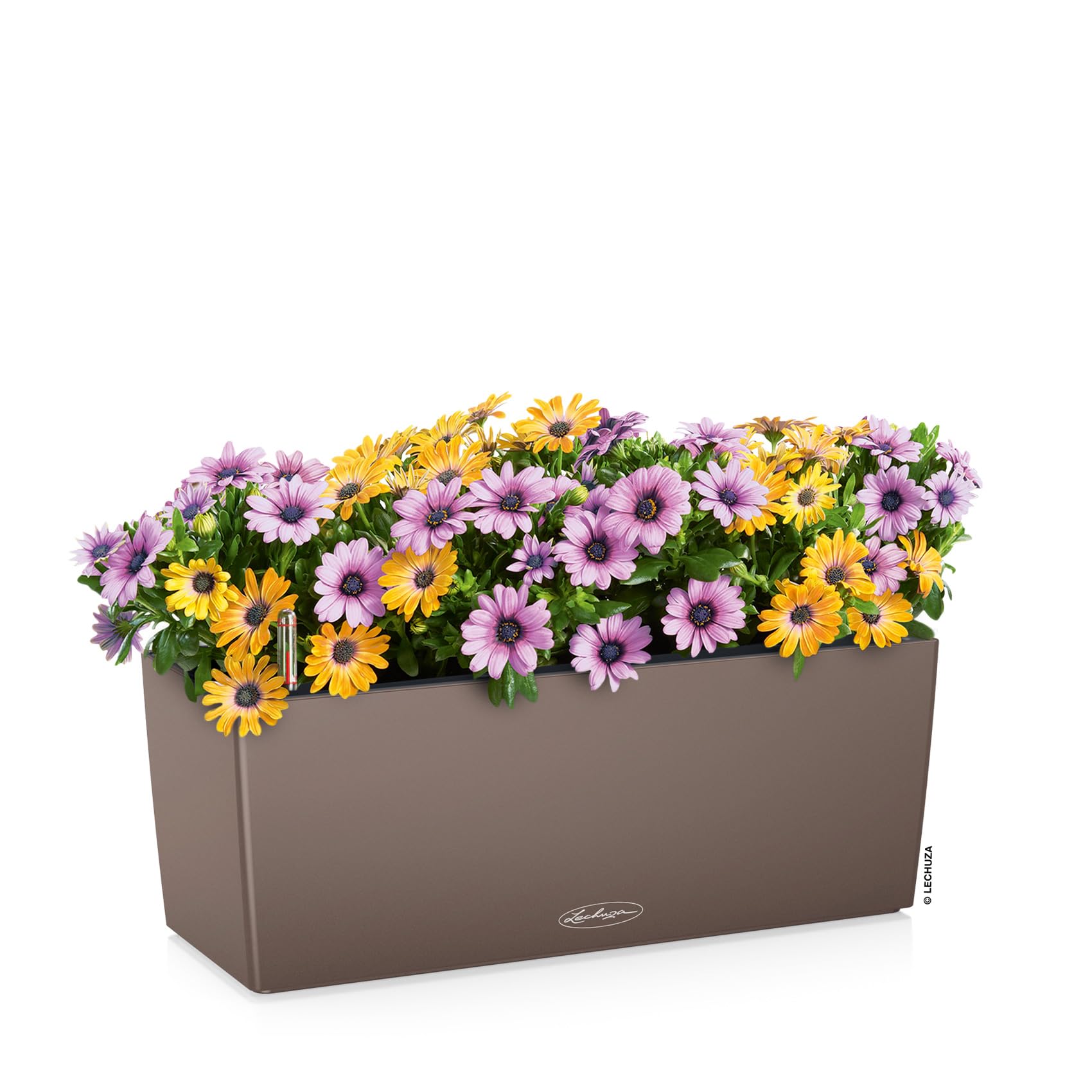 Lechuza Balconera Color 50 Blumenkasten Muskat mit Bewässerung