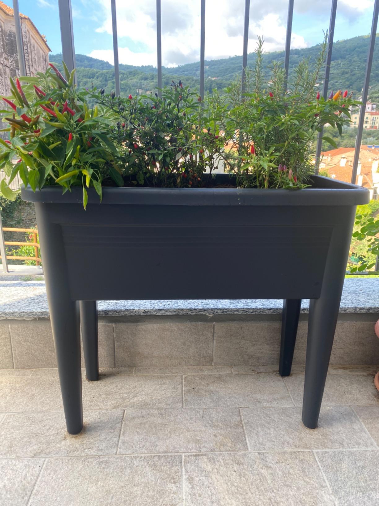 elho Green Basics Anzuchttisch XXL 75cm Living Schwarz recycelt