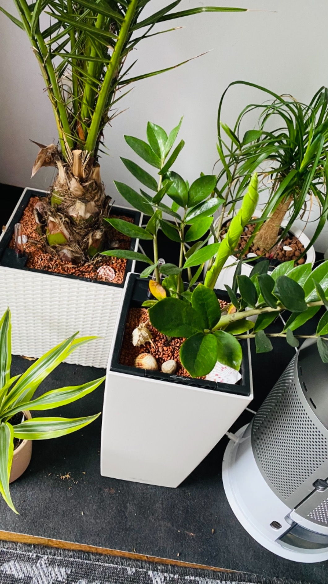 Lechuza Cube Cottage 50 Pflanzgefäß Granit Flechtoptik