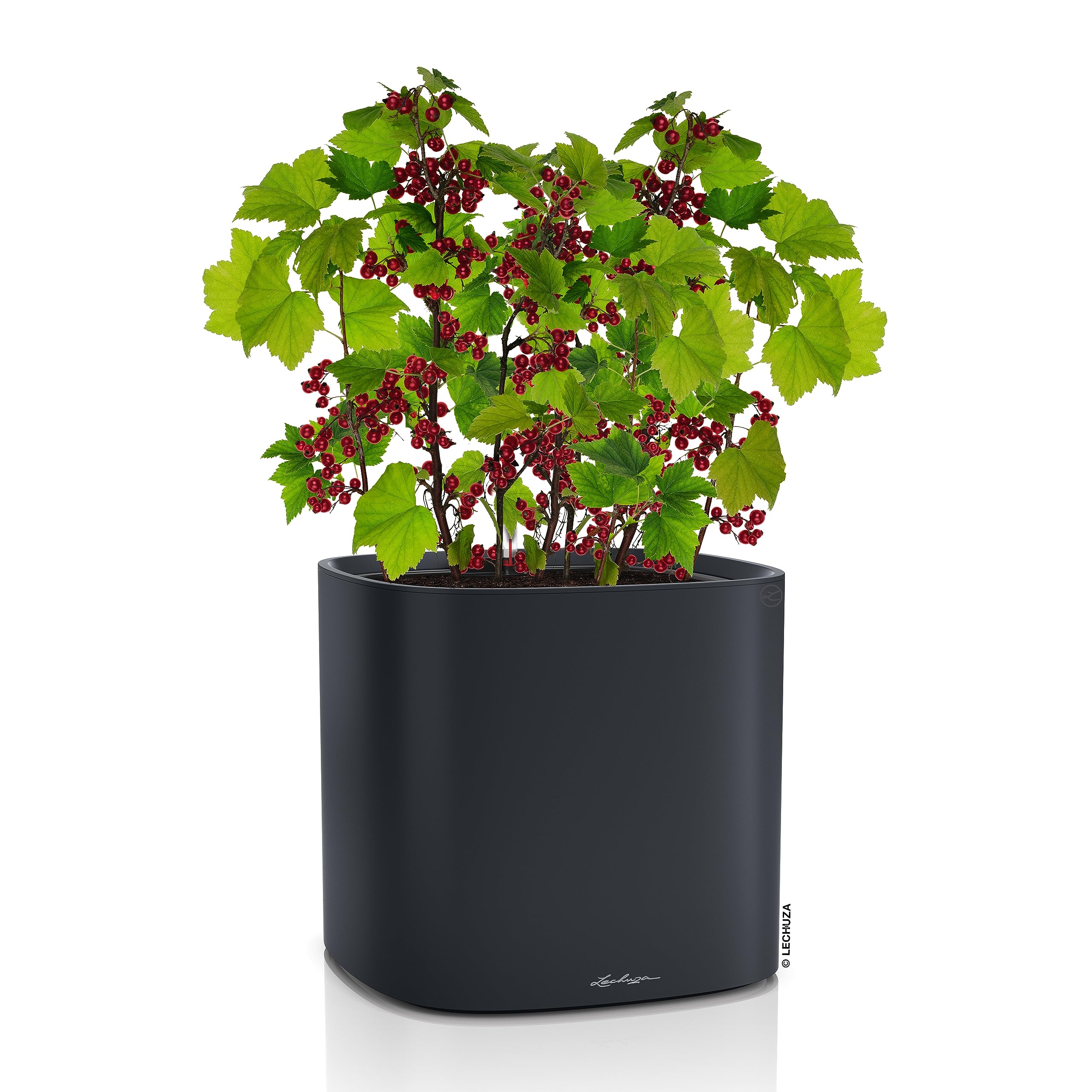 Lechuza Pila Planter Pflanztopf schiefergrau 35 cm Bewässerung