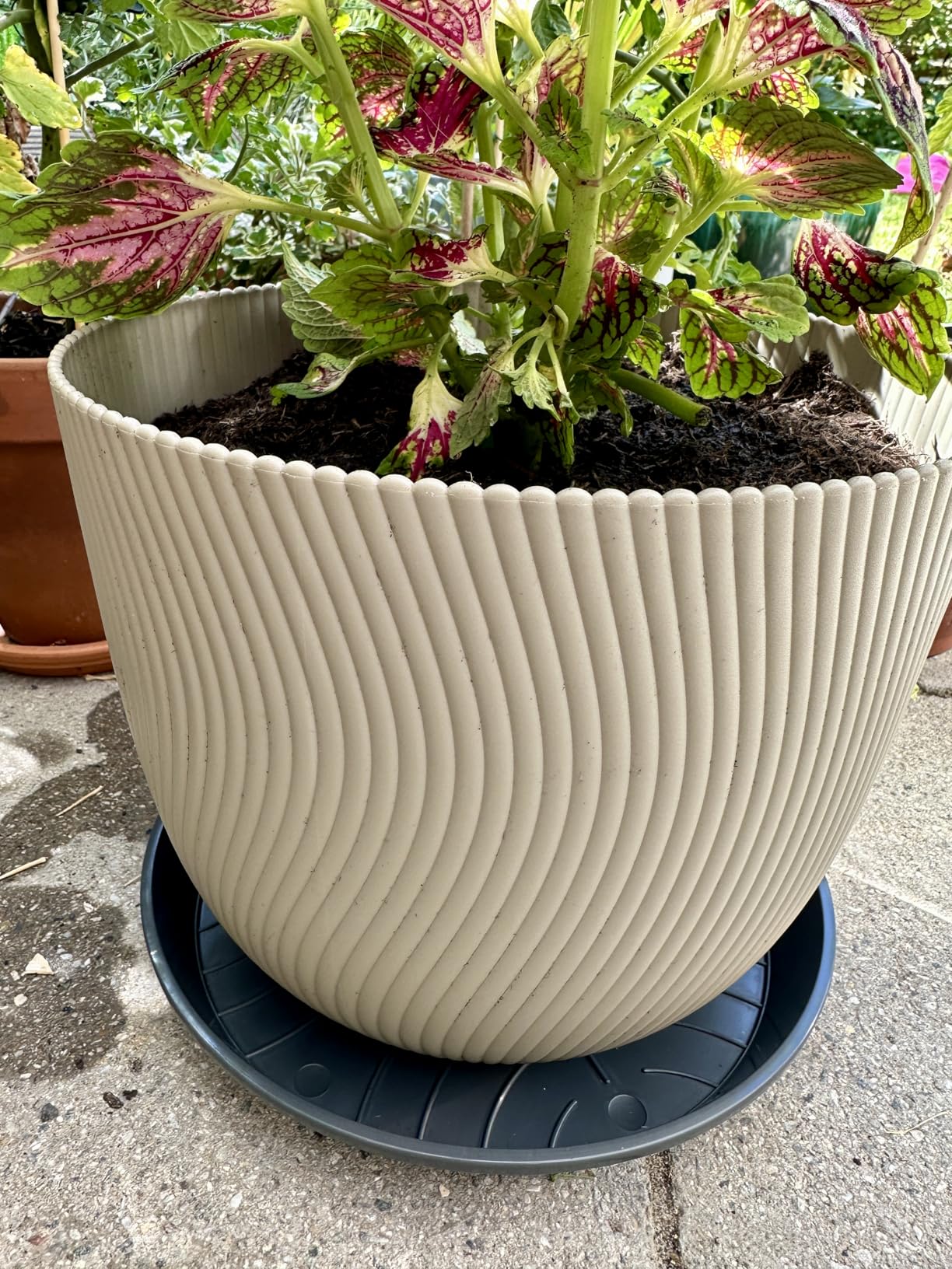 elho Sereh Rund 47 cm Blumentopf Mushroom Beige frostbeständig