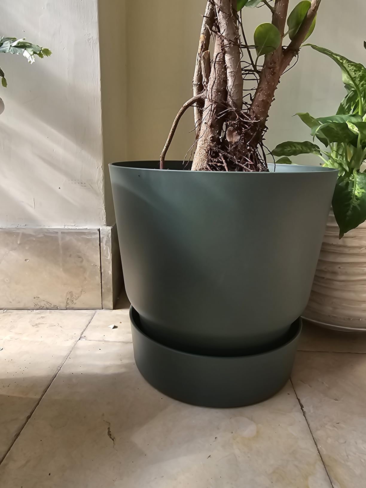 elho Greenville Rund 25 cm Blumentopf Goldener Sand frostbeständig