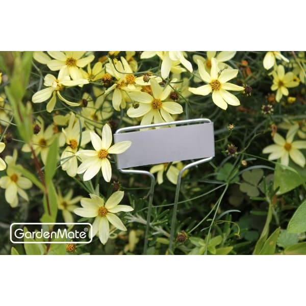 GardenMate Pflanzschilder Banner Metall 26cm 25 Stück