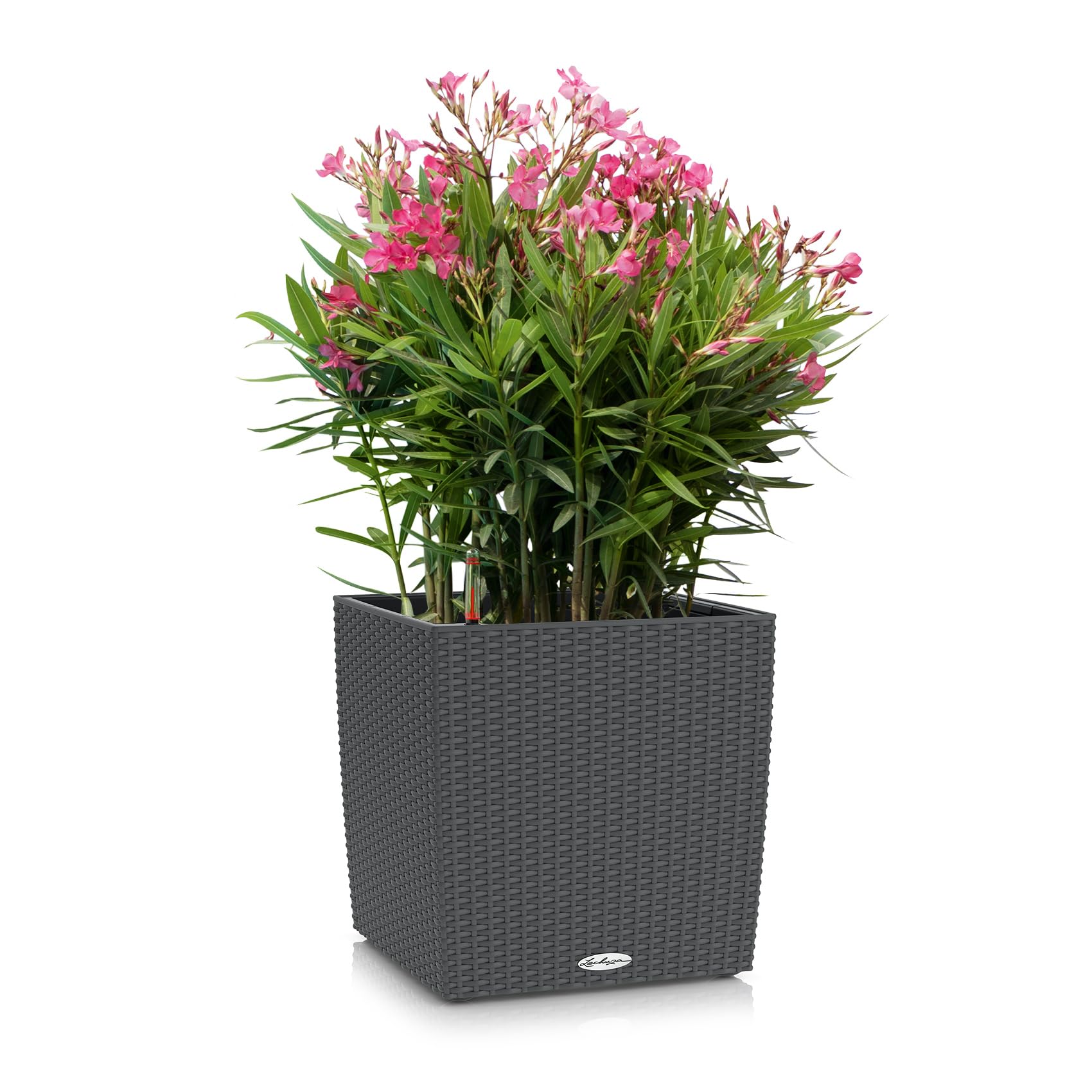Lechuza Cube Cottage 50 Pflanzgefäß Granit Flechtoptik