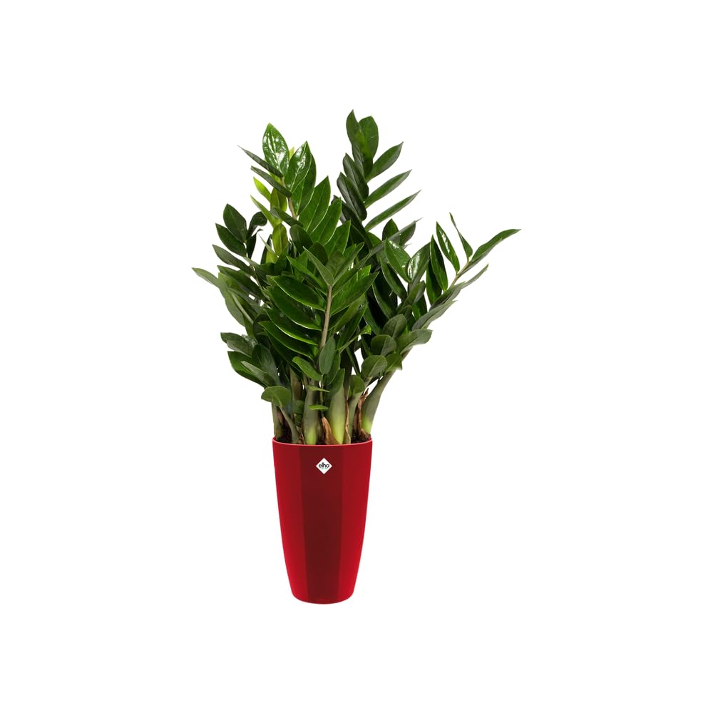 elho Brussels Diamond Rund Hoch 32 Blumentopf Lovely Rot Kunststoff