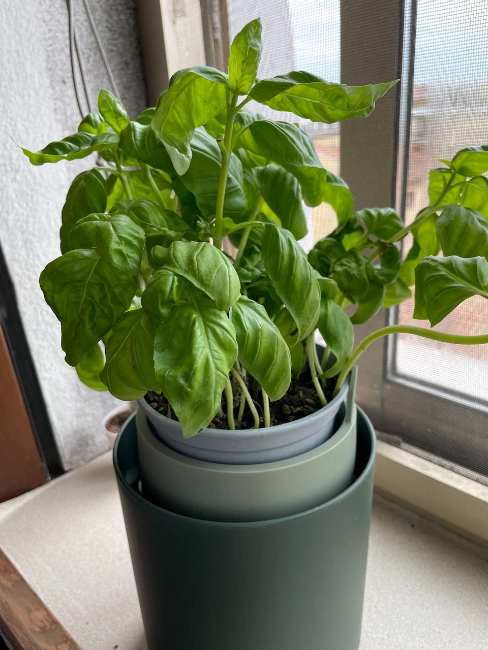 elho Bouncy Basil Pflanzentopf Leaf Green 16,5 cm selbstbewässernd