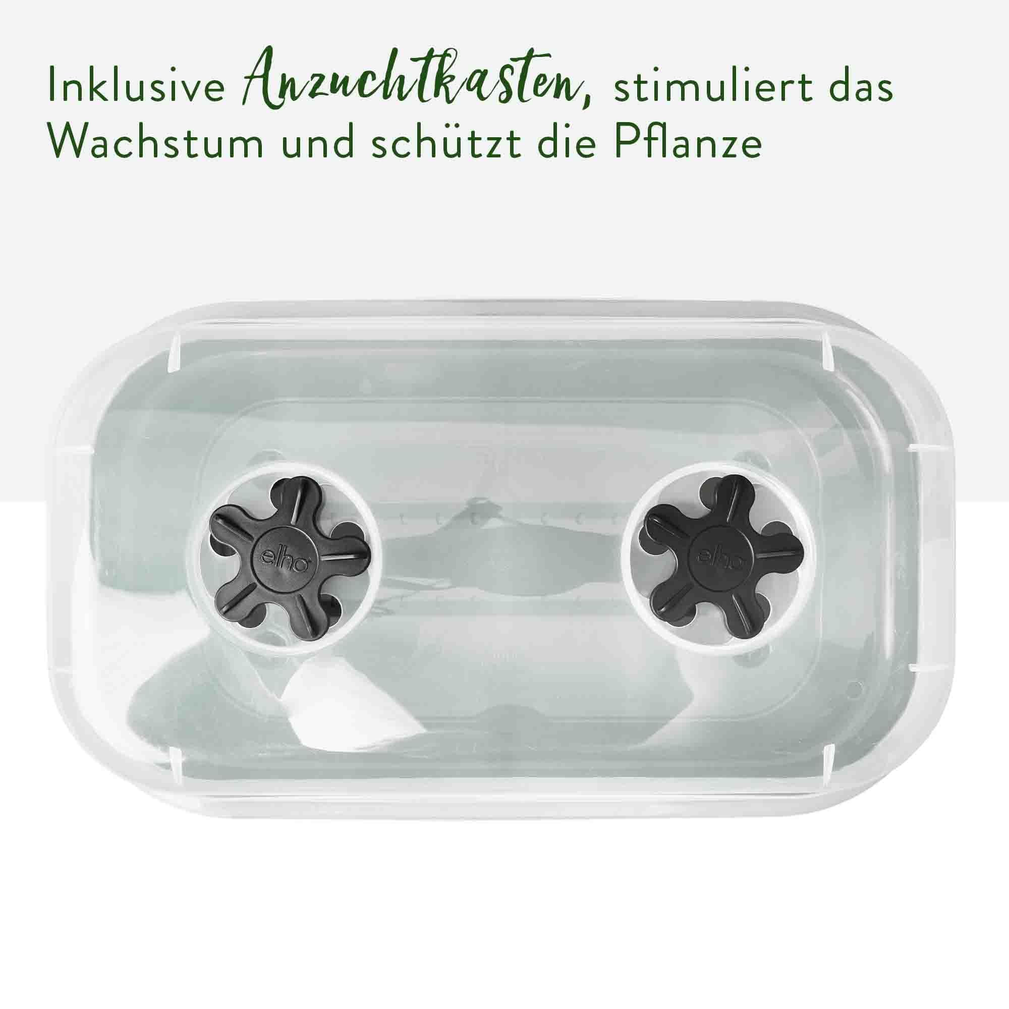 elho Green Basics Anzuchtschale M Schwarz mit Haube 32 cm