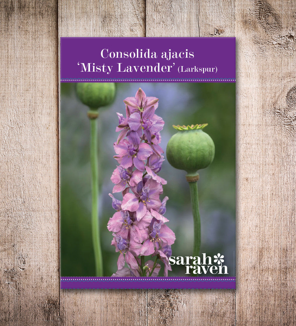 Sarah Raven Consolida Misty Lavender Samen 200 Samen Schnitt