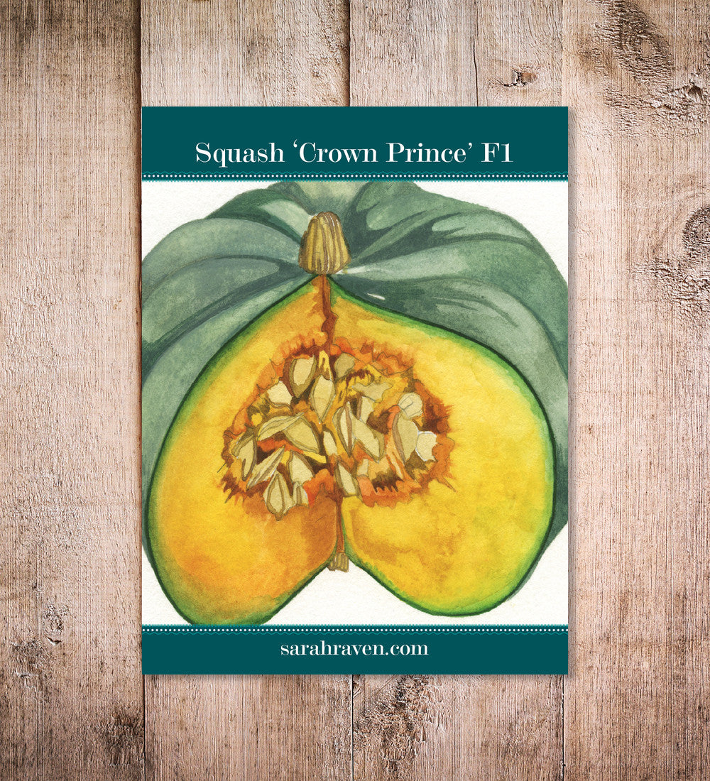 Sarah Raven Seeds Kürbis Crown Prince F1 Samen 6 Samen lagerfähig