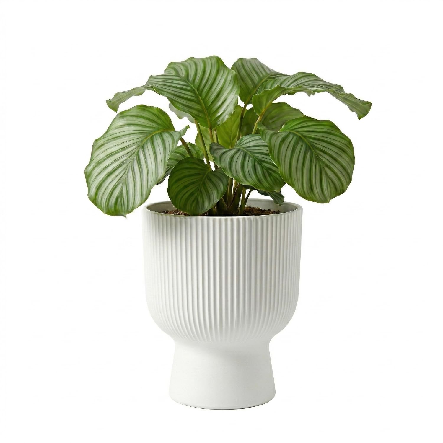 Prosperplast Milly Blumentopf Weiß 23,9 x 30,5 cm mit Einsatz
