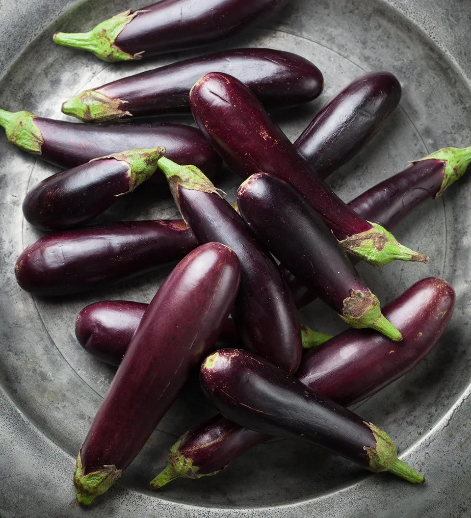 Sarah Raven Seeds Aubergine Slim Jim Auberginensamen 50 Samen lang