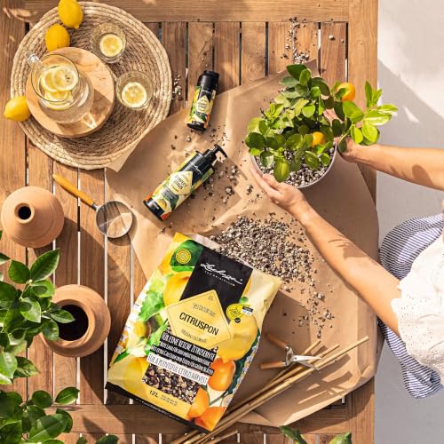 Lechuza Pon Citruspon Pflanzsubstrat 12L torffrei Zitruserde