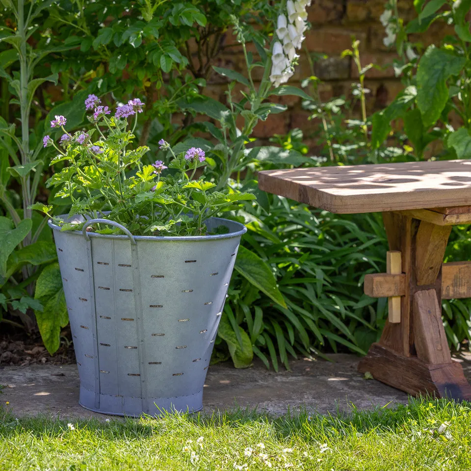 Sarah Raven Gardening Olive Picking Bucket Pflanztopf verzinkt 40cm