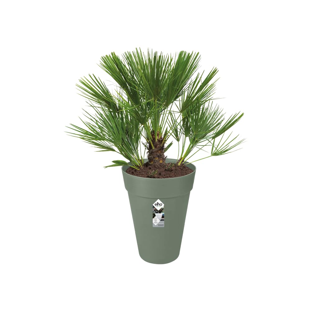 elho Loft Urban Blumentopf Hoch 28 Pistazie Grün