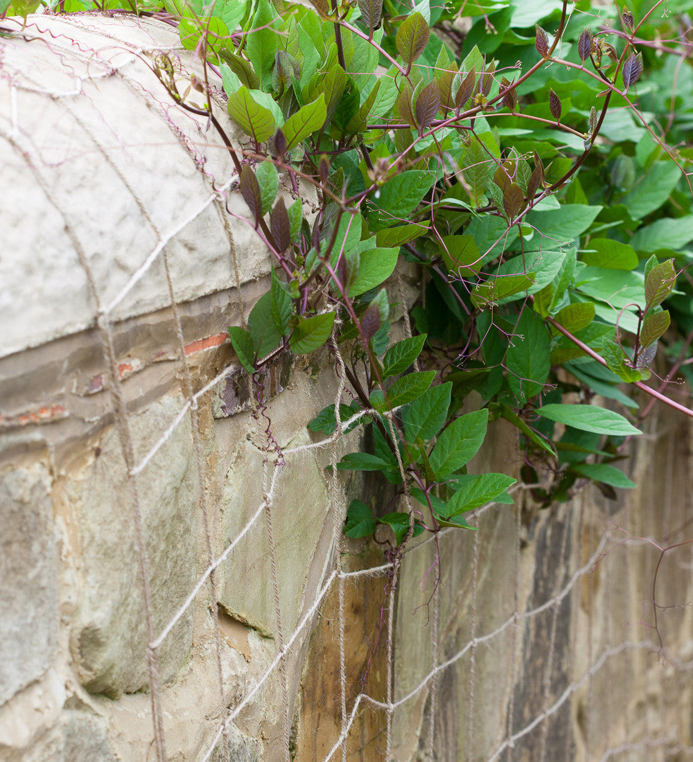 Sarah Raven Natural Jute Netting Ranknetz Jute Mittel