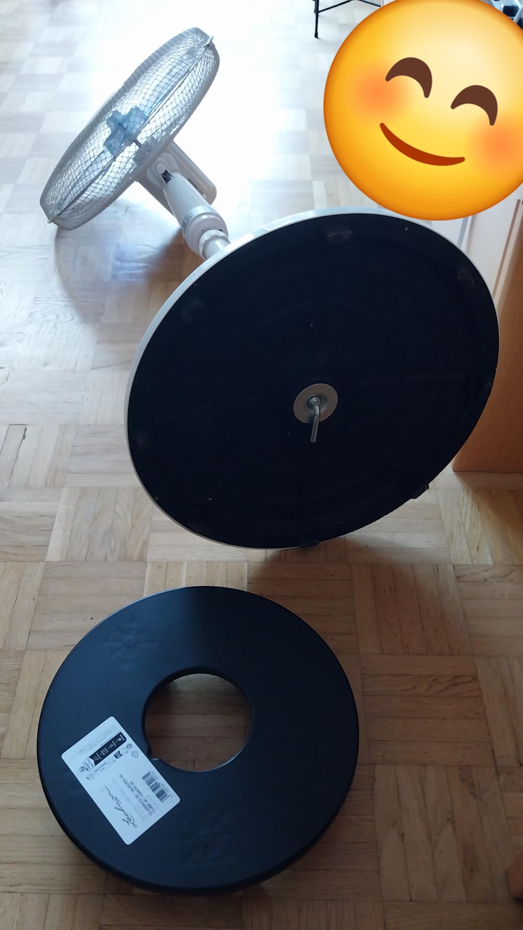 Lechuza Classico Rolluntersetzer Schwarz für 43 Pflanzroller